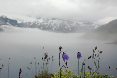 Тундра, по пути на р. Отта