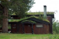 Волосатый домик