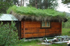 Волосатый домик