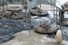 Аквариум в Бергене