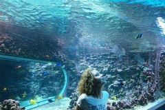 Аквариум в Бергене