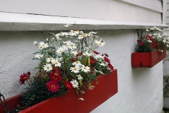 Улицы Бергена