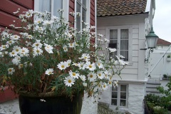 Улицы Бергена