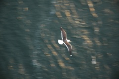 Стокгольм. Отплытие