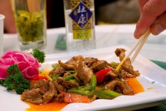 005_tibet2011