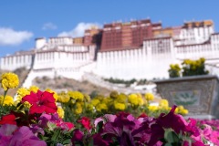 040_tibet2011