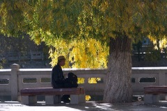 041_tibet2011