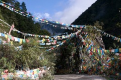 082_tibet2011