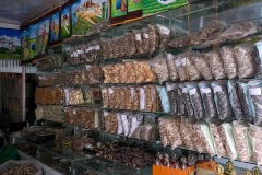 087_tibet2011
