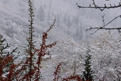103_tibet2011