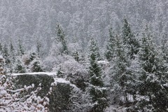 104_tibet2011