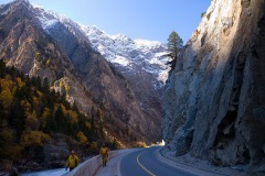119_tibet2011