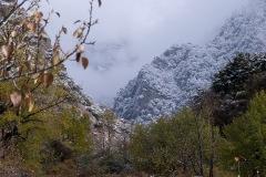 207_tibet2011