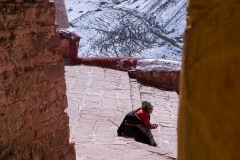 229_tibet2011