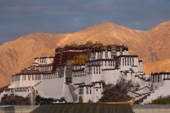 235_tibet2011