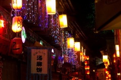 251_tibet2011