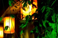 252_tibet2011