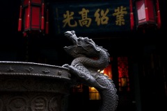 254_tibet2011