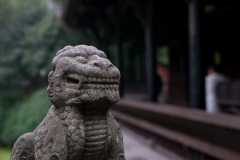 256_tibet2011