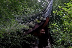 259_tibet2011