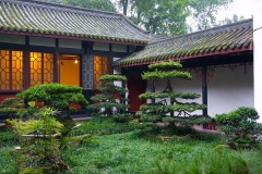 264_tibet2011