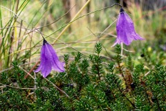 img_0112f