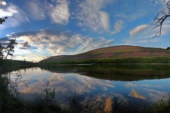 img_0263