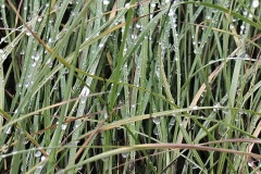img_0753