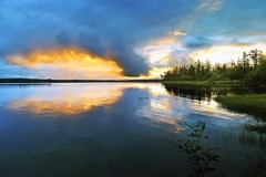 img_0772pt