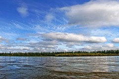 img_0803h