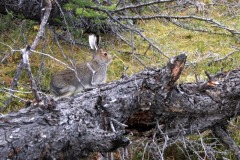 img_09-45