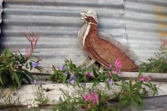 img_0914
