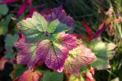 img_0948