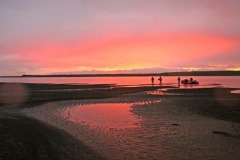 img_1278