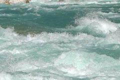 img_0846