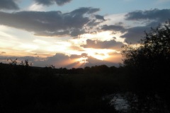 DSCN2270