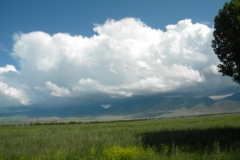 DSCN2373