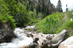 DSCN2458