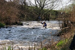 img_0046