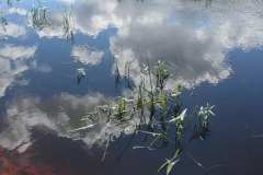 dsc05453