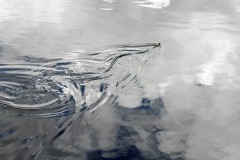 dsc05470