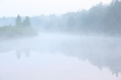 img_4824