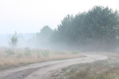 img_4826