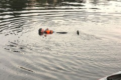 img_4858