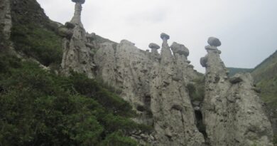 Фото 66 – «Каменные грибы»