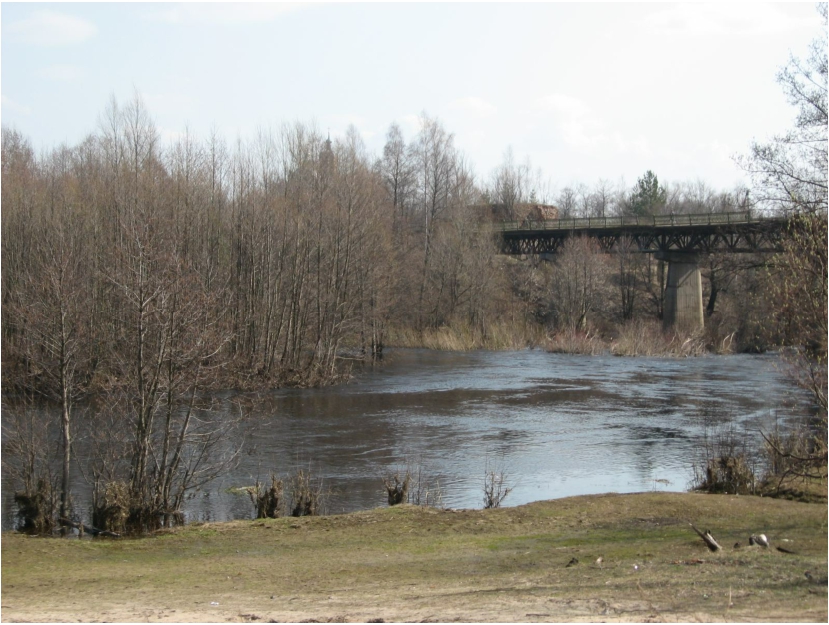 Отчёт о водном туристском походе по рекам Колпь, Гусь в районе Владимирской и Рязанской области