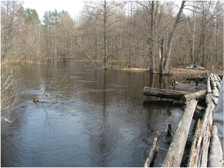 Отчёт о водном туристском походе по рекам Колпь, Гусь в районе Владимирской и Рязанской области